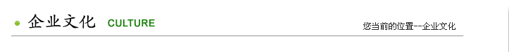 企业文化