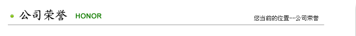 公司荣誉