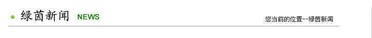 绿茵新闻
